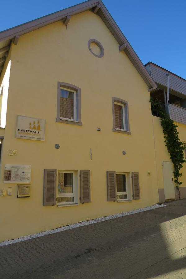 Hotel Gästehaus Steinmühle Osthofen Exterior foto